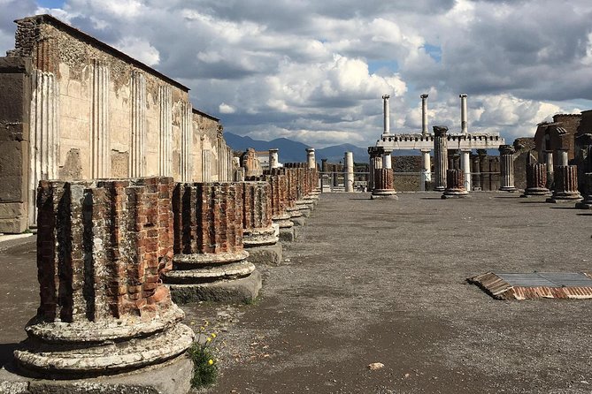From Naples: Private Tour of Pompeii, Wine Tasting & Lunch - Tour Highlights