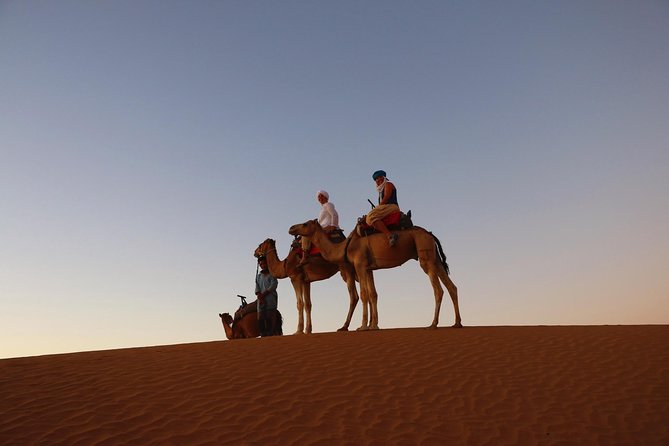 From Ouarzazate: Private 12 Days-Trekking in Draa Valley and Erg Chegaga Dunes