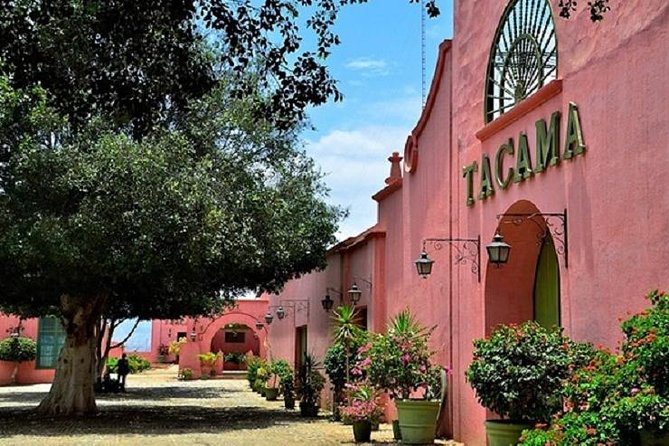 From Paracas: Full Day Ica - Tour Highlights