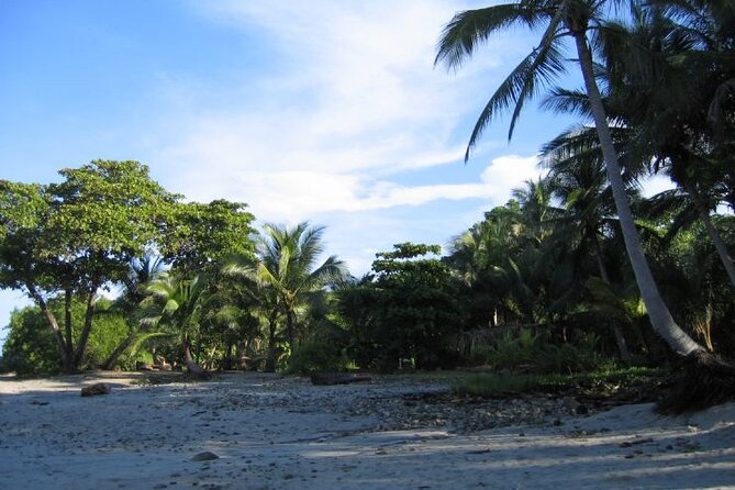 From San Jose Airport To Playa Santa Teresa - PRIVATE TRANSFER - Transfer Details