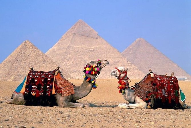 From Sharm El Sheikh to Cairo and Return