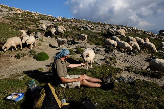From Sibiu: Hiking Along Transfagarasan Scenic Road - Essential Information for Hikers