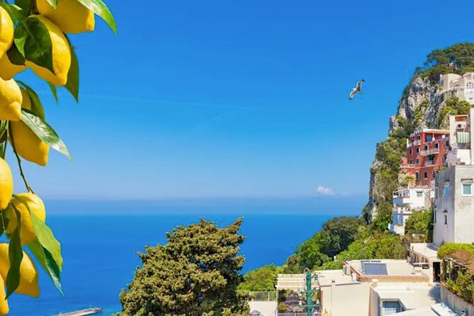 From SORRENTO: Stunning Capri! Full Day in a Private Boat - Itinerary Overview