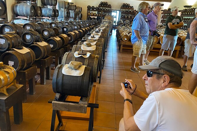From Verona: Modena Food & Wine Full Day Trip With Ferrari Museum - Food and Wine Highlights