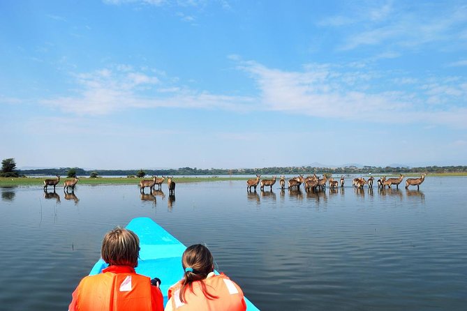 Full Day at Crescent Island With Boat Ride at Lake Naivasha