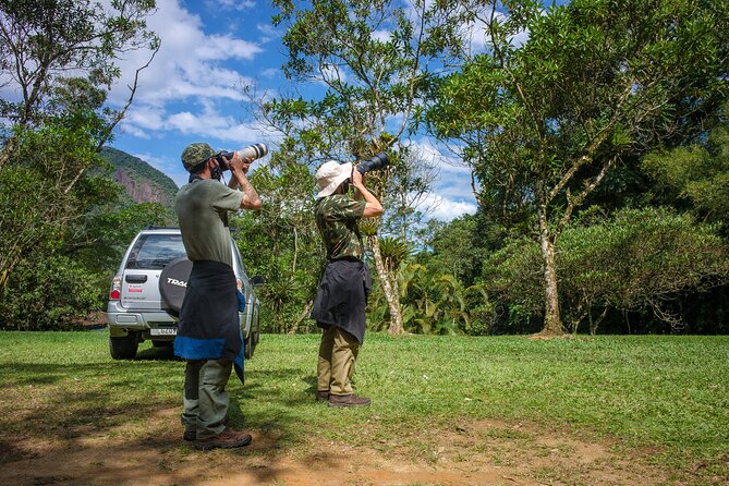 Full Day Bird Sighting Tour in Serra Dos Orgaos Region - Tour Overview