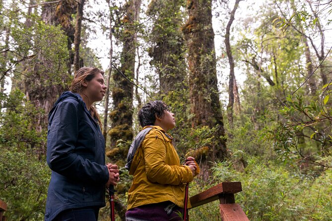 Full Day Chaihuin and Corral Coastal Route in Valdivia - Pickup Information