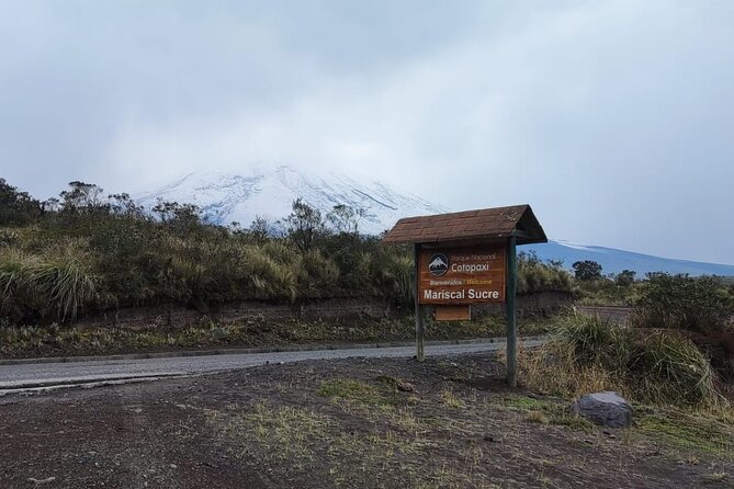 Full Day Cotopaxi National Park – Private
