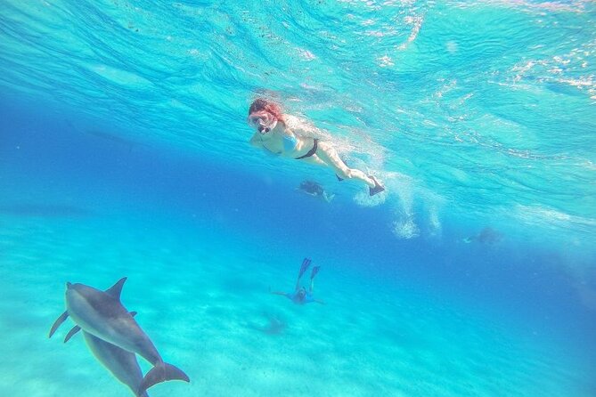 Full-Day Dolphin House From Hurghada