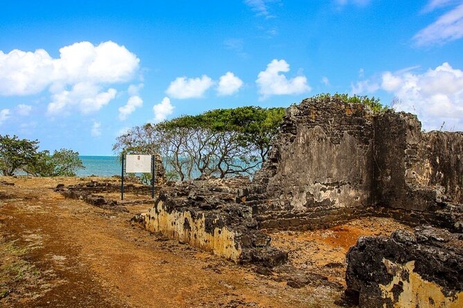 Full-Day East Coast Tour, ALL INCLUSIVE Day Trip, Private SUV Car With Guide - Tour Highlights