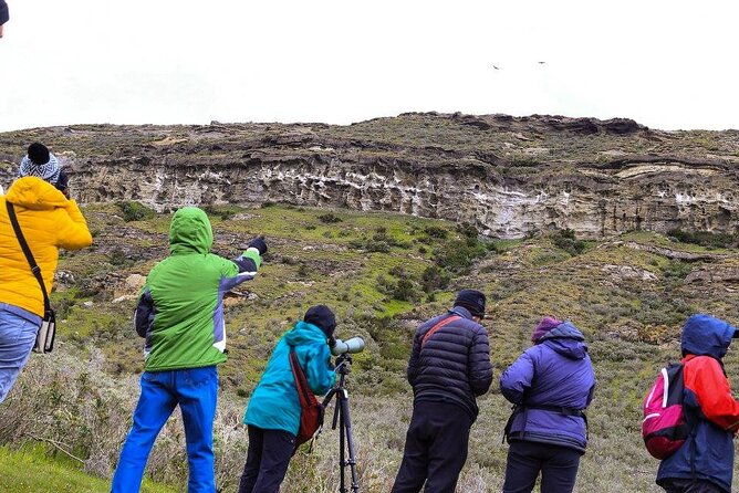 Full-day Estancia Visit and Condor Watching