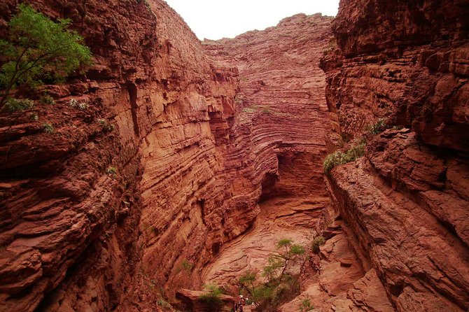 Full Day Excursion to Cafayate From Salta - Additional Details