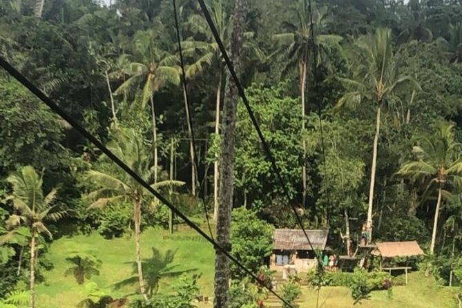 Full Day Experience the Beauty and Flavors of Bali Private Tour - Itinerary Highlights