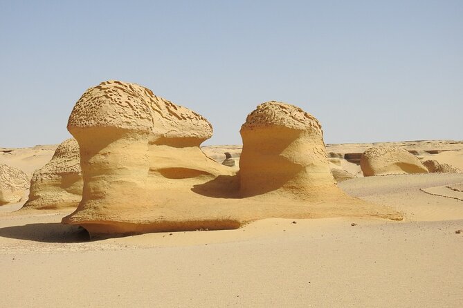 Full Day Fayoum Oasis and Waterfalls of Wadi El-Rayan - Tour Overview