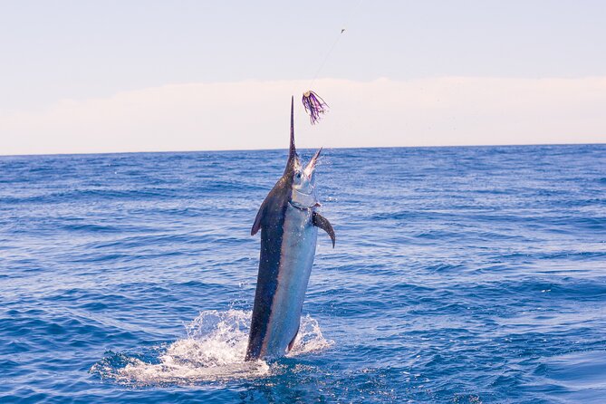 Full Day Fishing at South Pearl Islands on Private Yacht - Whats Included in the Package