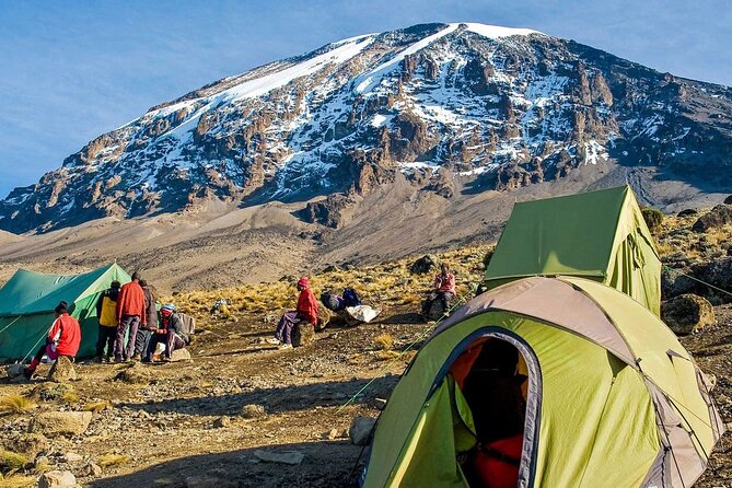 Full Day Guided Trekking in Mount Kilimanjaro