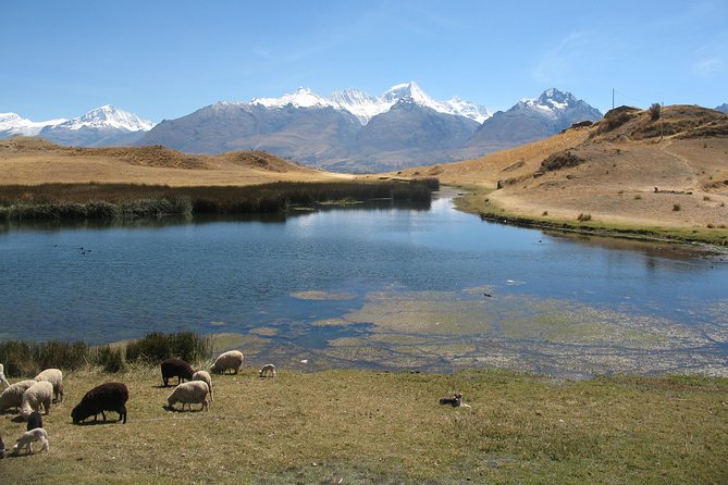 Full-Day Hike to Huilcaccoha Lake in the Cordillera Negra From Huaraz, Peru - Trail Overview