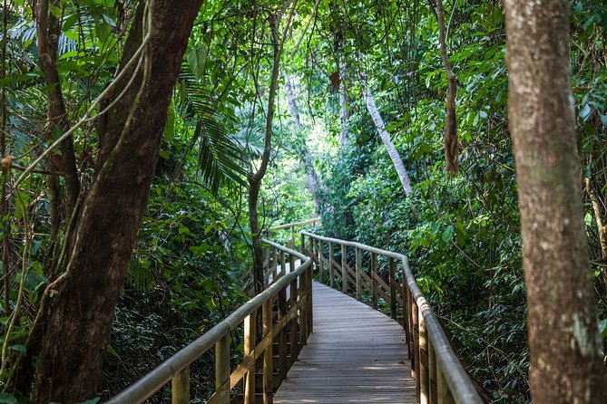 Full Day Hiking With Wild Life Watching at Manuel Antonio Park From San Jose - Inclusions