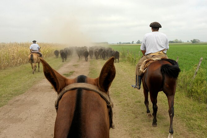 Full-Day Horseback Riding With Gauchos From Buenos Aires
