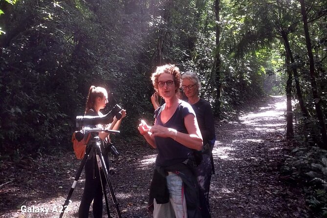 Full Day Monteverde Bird-Watching & Photografy Private Tour