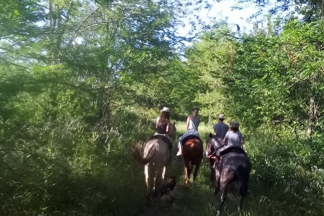 Full Day: Pool, Picnic, Guided Horseback Riding and Dinner - Location Details