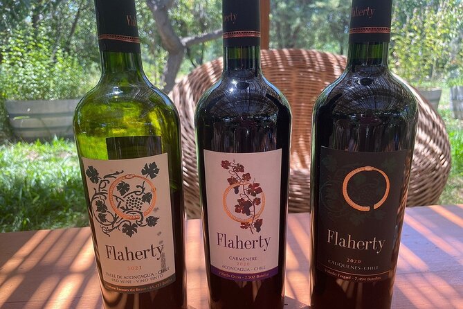 Full Day Private Aconcagua Wine Tour From Santiago