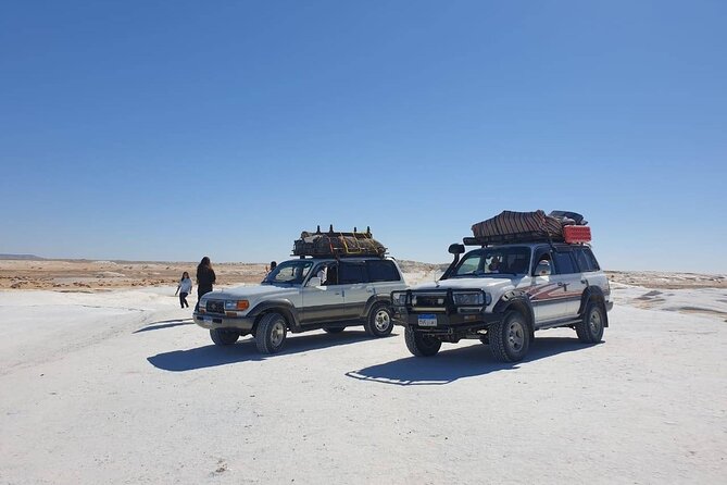Full Day Private Bahariya Oasis and White Desert Tour From Cairo - Tour Overview