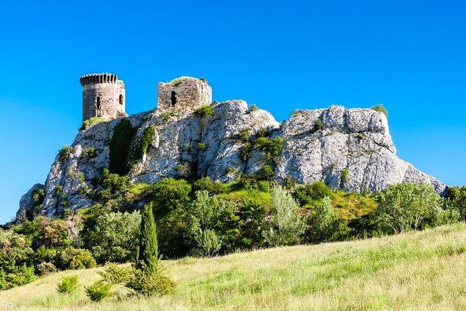 Full-Day Private Chateauneuf Du Pape Wine Tour From Avignon - Tour Overview