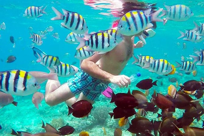 Full-Day Private Guided Lombok Snorkeling 3 Gili Islands