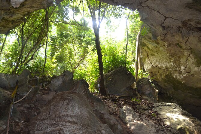 Full Day Private Jozani Forest, Kuza Cave and Kae Sunset Beach - Pickup Details