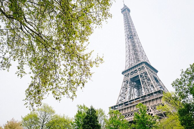 Full-Day Private Paris Tour & Crazy Horse With Airport Pick up - Location and Features
