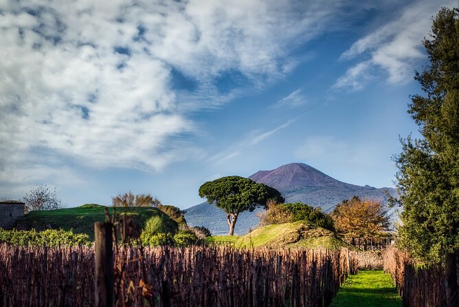 Full-Day Private Pompeii and Vesuvius Wine Tour From Naples - Tour Overview