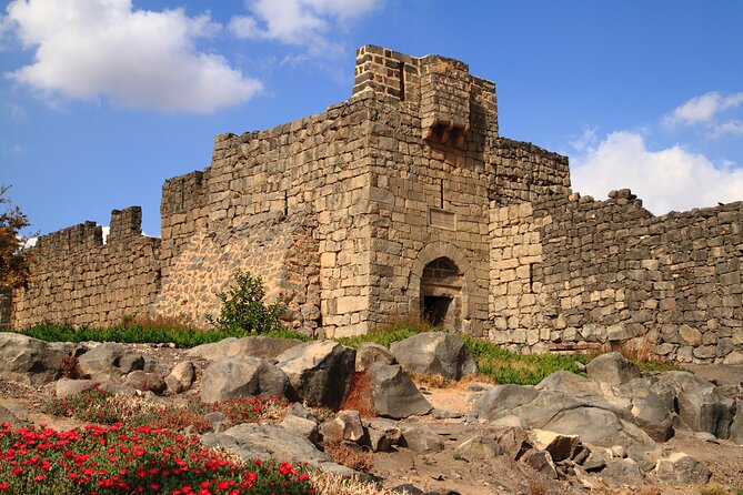 Full Day Private Tour 5 Desert Castles of Jordan From Amman - Tour Overview