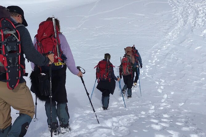 Full Day Private Tour Ascending Sollipulli Volcano