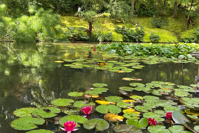 Full Day Private Tour in Furnas Valley Breath of the Volcano - Tour Highlights
