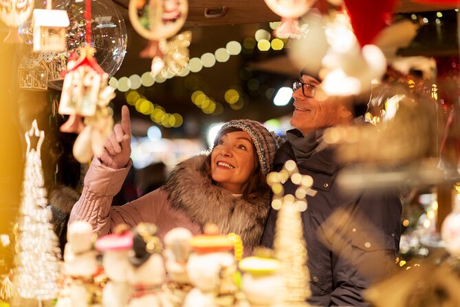 Full Day Private Tour in Vienna Christmas Market From Budapest