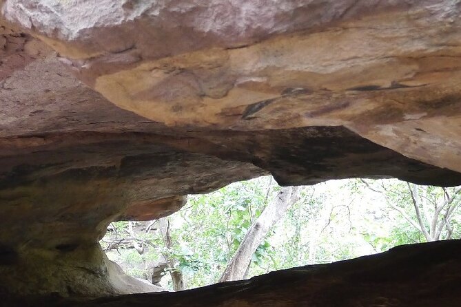 Full-Day Private Tour to Bhojpur and Bhimbetka Caves From Bhopal With Lunch - Exclusions