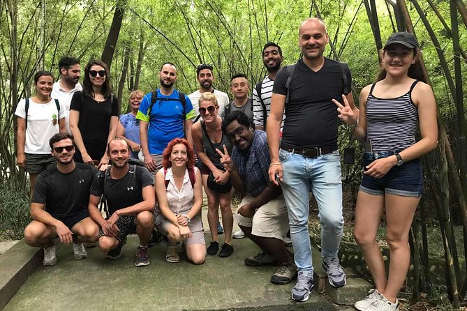 Full-Day Private Tour to Chengdu Giant Panda Base and Leshan