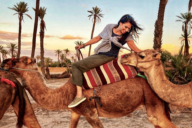 Full-Day Private Trip From Casablanca to Marrakech