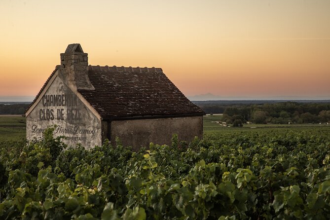 Full-Day Private Wine Tour in Côte De Nuits - Tour Details