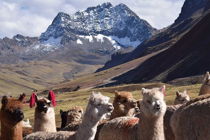 Full Day Rainbow Mountain Tour From Cusco