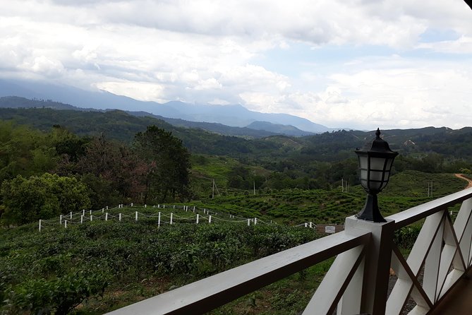Full Day Sabah Tea Plantation & WWII Memorial - Tour Overview