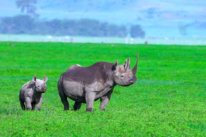 Full Day Safari Game Drive at Ngorongoro Crater With Lunch Included - Wildlife Sightings