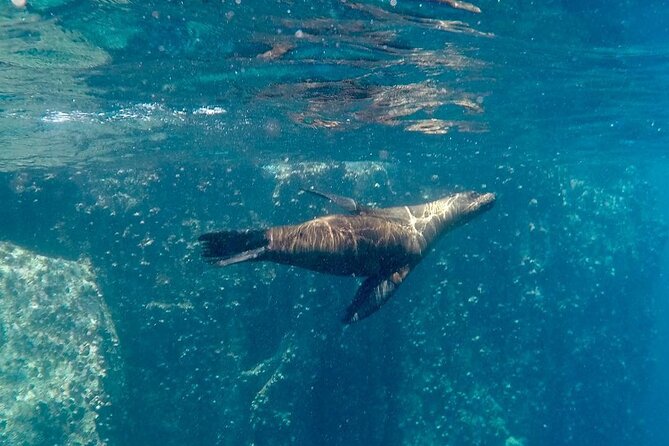 Full Day Santa Fe and Playa Escondida With Snorkeling and Lunch Included