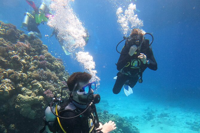 Full Day Scupa Diving and Snorkeling Sea Trip Activity – Hurghada
