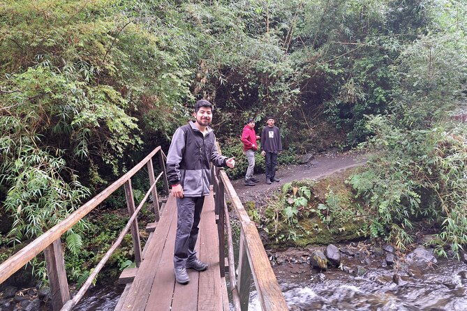 Full Day Shared Tour to Waterfalls and Llanquihue Lake Route - Inclusions and Exclusions