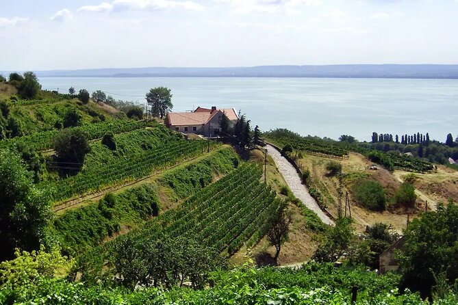 Full-Day Small Group Lake Balaton Wine Tour