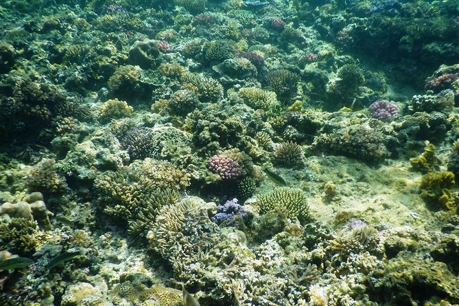 Full-day Snorkeling & Fishing Tour In Southern Phu Quoc Island - Inclusions and Amenities