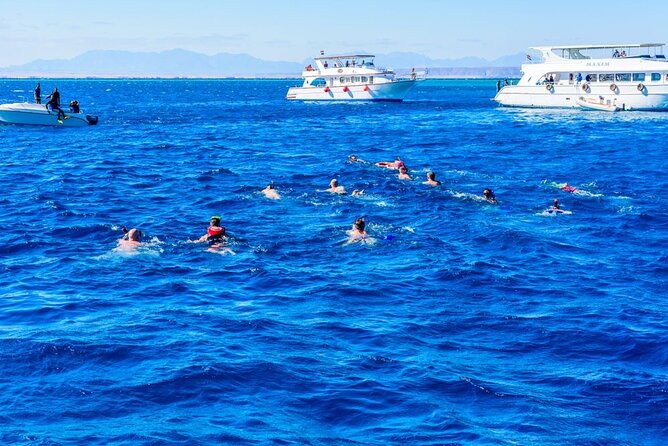 Full-Day Snorkeling Trip at Paradise Island in Egypt - Inclusions and Exclusions