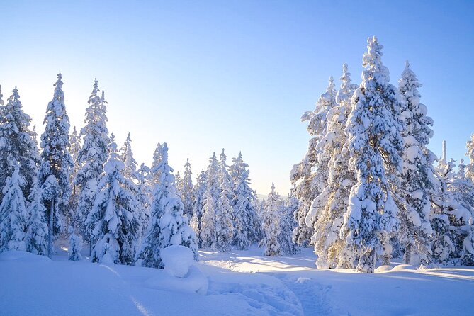 Full Day Snowmobile Activity in Rovaniemi - Start Time and Expectations